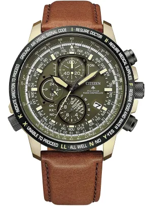 CITIZEN PROMASTER ECO-DRIVE RADIO CLOCK DIRECT FLIGHT AT8194-11X JAPAN MOV'T JDM