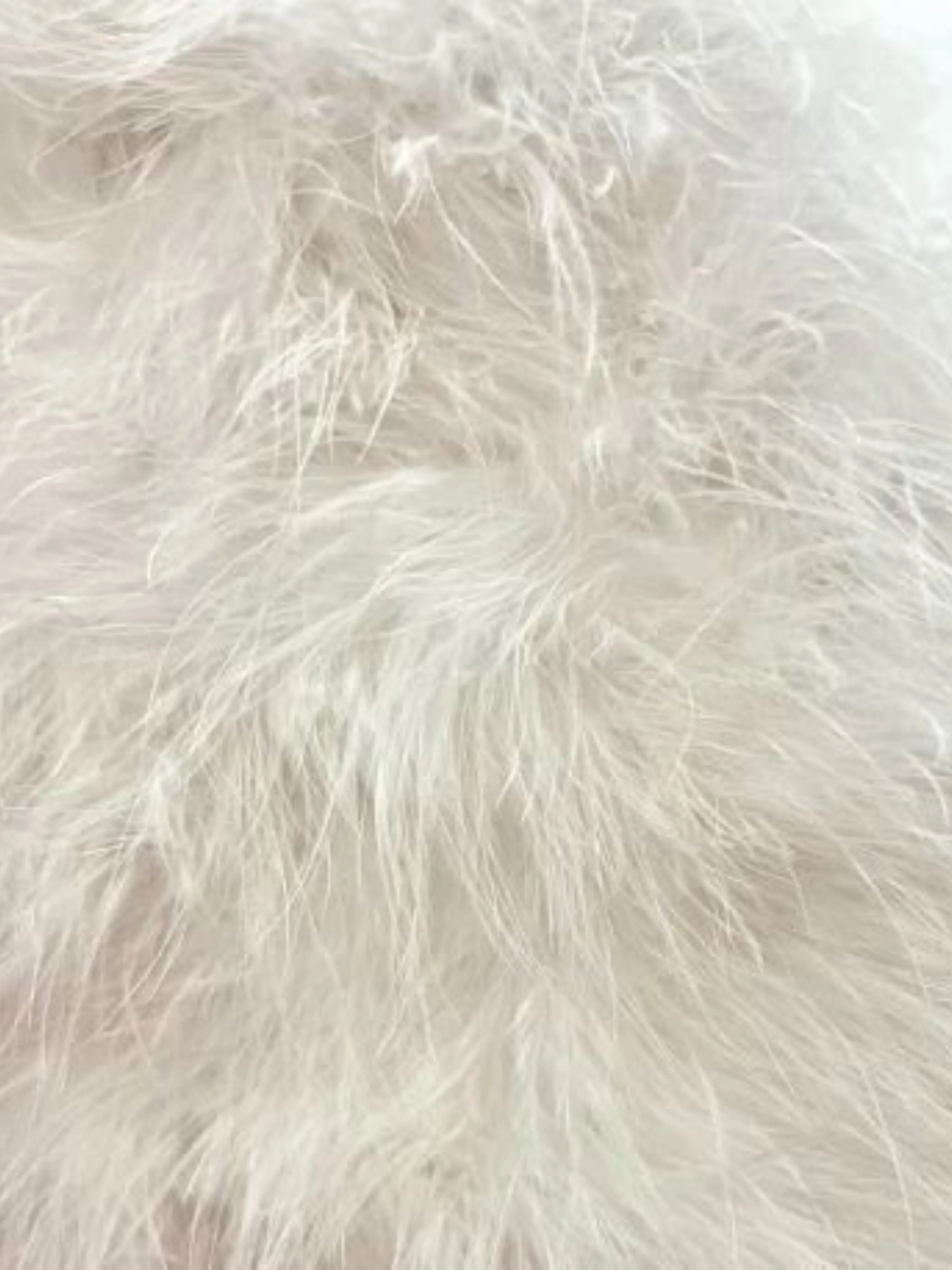 Feather Boloro in White
