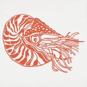 Nautilus Men's T-Shirt