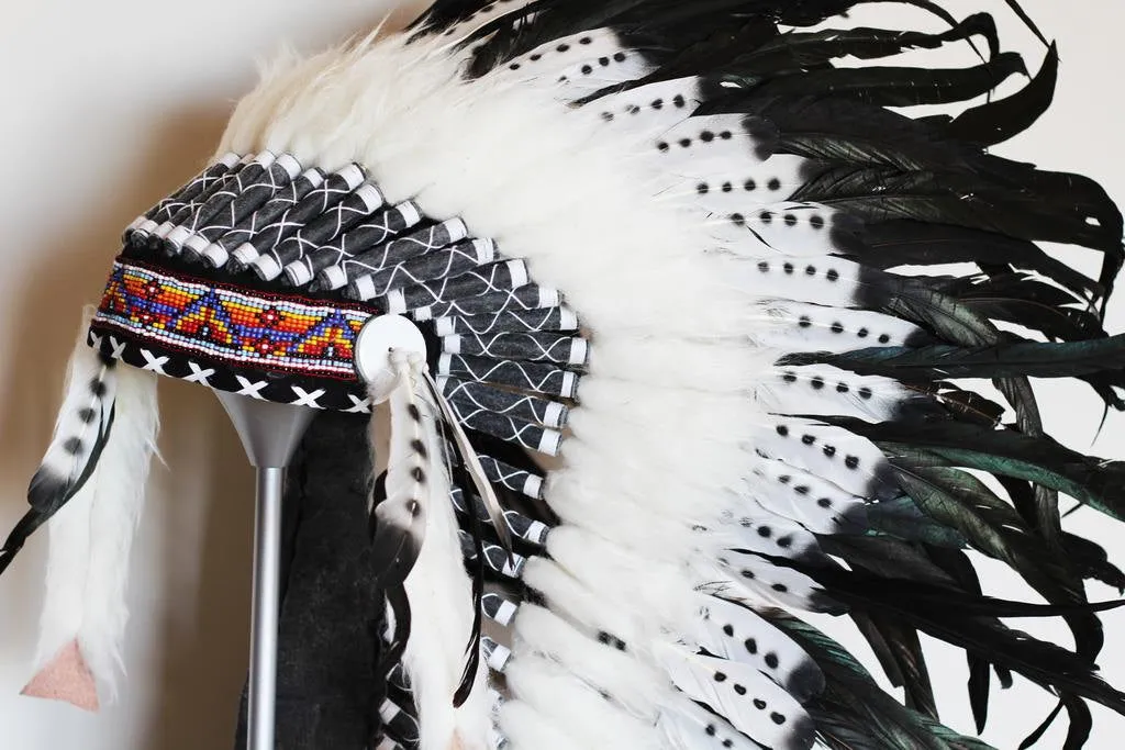 PRICE REDUCED N77 - Medium Size Double Feather Headdress (36 inch long ).