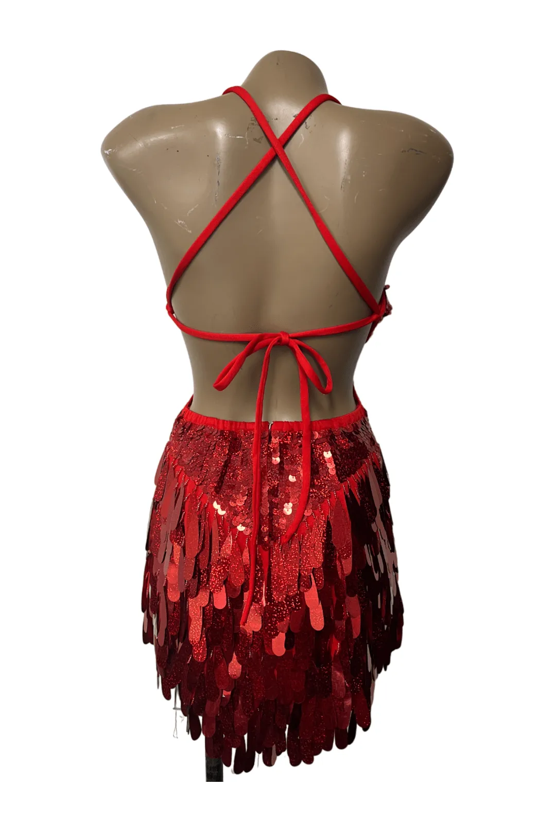 Red & Iridescent Sequin and Rhinestone Dress