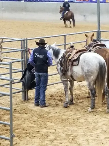 Truth Saddlery Vests Lightweight